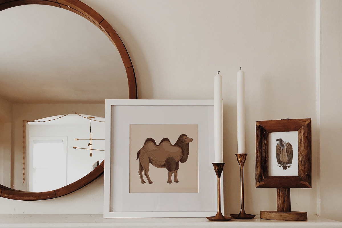 Desert animals collection, an Animal Illustration by handsketched (Photo 8 of 9)