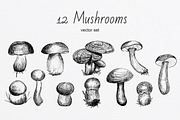 Set of Edble Hand Drawn Mushrooms, an Object Graphic by NataliArkushArt (Thumbnail 3 of 4)