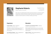 Professional Resume Set 1 Horizontal, a Resume Template by DEFNST (Thumbnail 2 of 9)