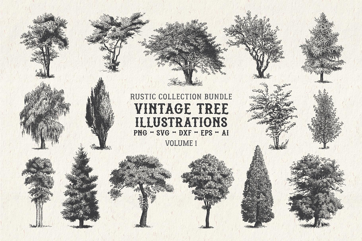 Vintage Tree Vector Bundle Vol. 1, an Object Illustration by Seaquint (Photo 1 of 5)