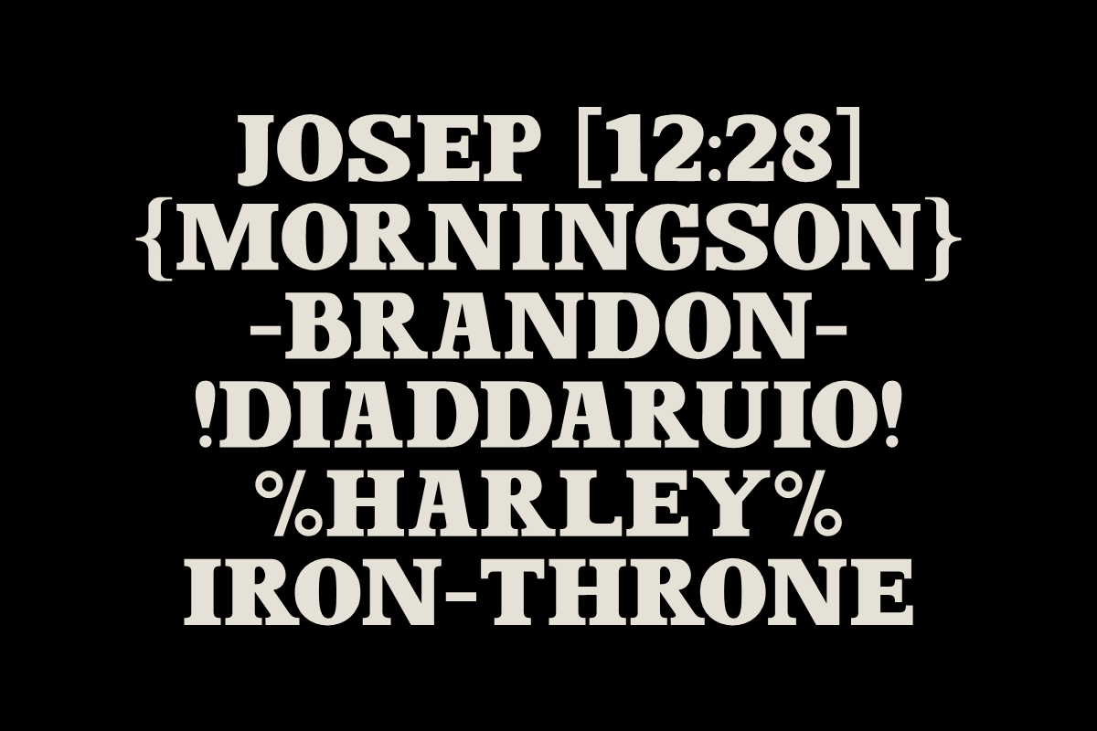 Dominant Youth – Display Serif, a Serif Font by Fikryal Studio (Photo 8 of 8)