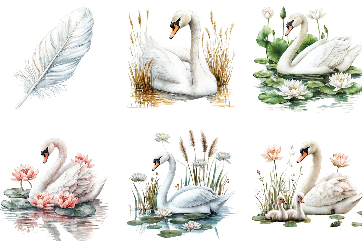 Watercolor Cute swan clipart, a Seasonal Illustration by Designking (Photo 2 of 4)