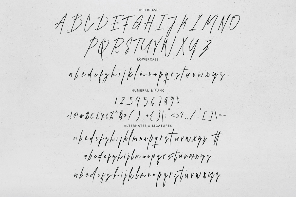 Themusion - Authentic Signature, a Handwritten Font by tebaltipislab (Photo 8 of 10)