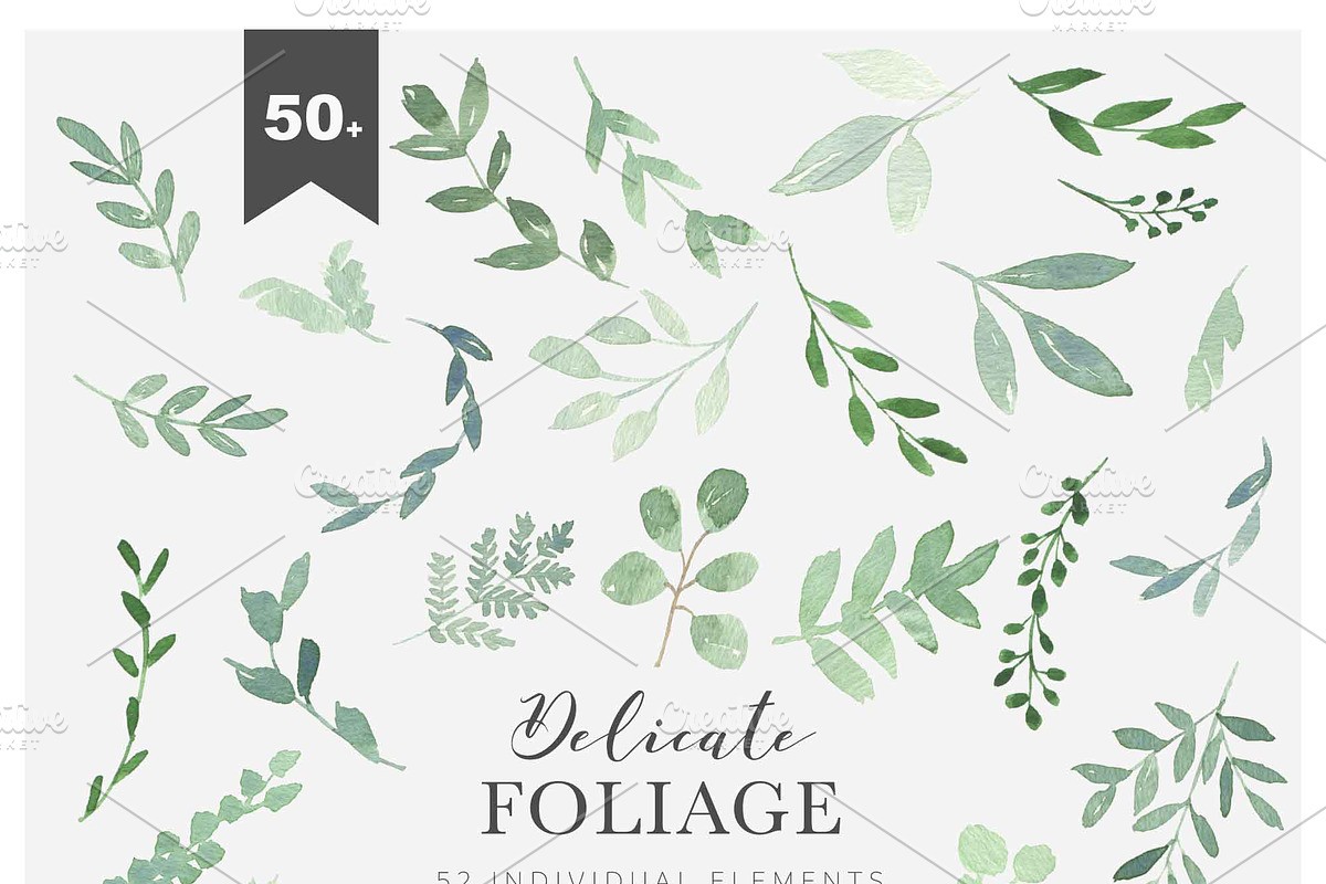 DELICATE FOLIAGE leaves greenery, an Illustration by Momo Studio (Photo 11 of 15)