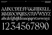 Consta - Premium Serif Font, a Serif Font by Identy Studio (Thumbnail 15 of 18)