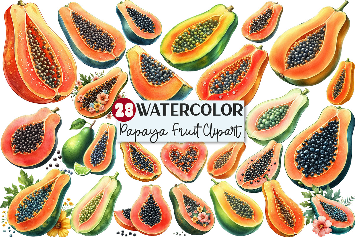 Watercolor Papaya Fruit Clipart, an Illustration by Rose Art (Photo 1 of 7)