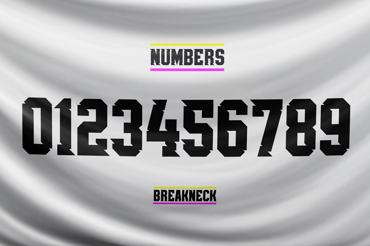 Breakneck Font Duo, a Sans Serif Font by Alphabet Agency (Photo 11 of 12)