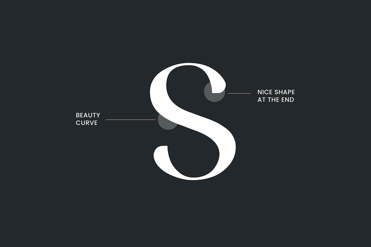 Waylimo Modern Sans Serif Font, a Sans Serif Font by UICreative (Photo 4 of 13)