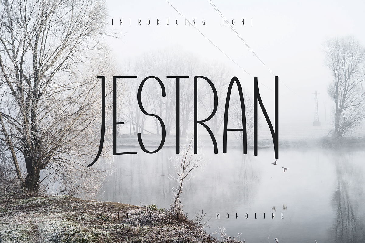 Jestran Font, a Sans Serif Font by ponuppo (Photo 1 of 4)