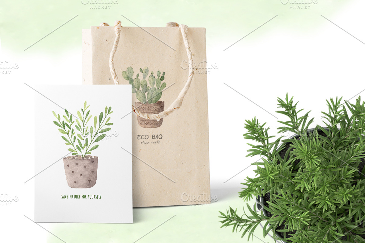 Watercolor indoor plants., an Illustration by BrushArtDesigns (Photo 3 of 5)