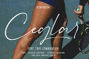 Ceglar, a Serif Font by Black Junst (Thumbnail 4 of 35)
