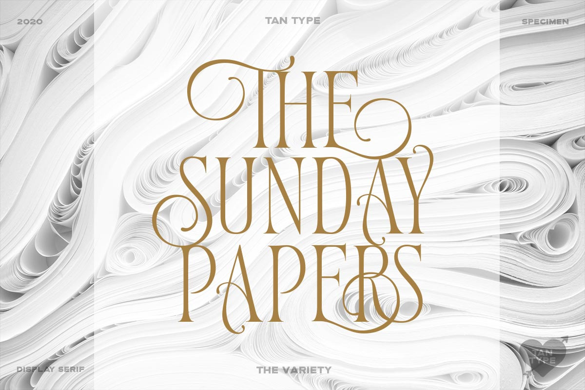 TAN - Variety, a Serif Font by TanType (Photo 4 of 26)