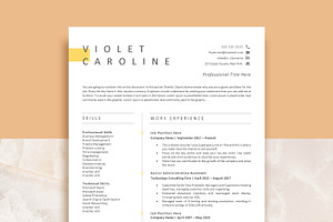 Professional Resume Template Word