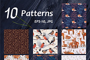 vector SET Winter Forest, an Animal Illustration by WINDmade (Thumbnail 11 of 19)