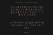 Aveline, Soft Serif with Ligatures, a Serif Font by CarmineType (Thumbnail 23 of 28)