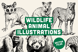 60 Wildlife Animal Illustrations, an Animal Illustration by Vectorian