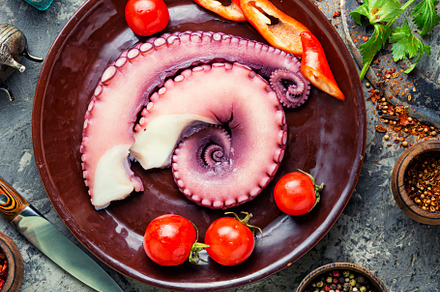 Fresh octopus tentacle, a Food & Drink Photo by MLunov MLunov