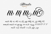 Bandito Script Font, a Script Font by StockMamba (Thumbnail 7 of 10)