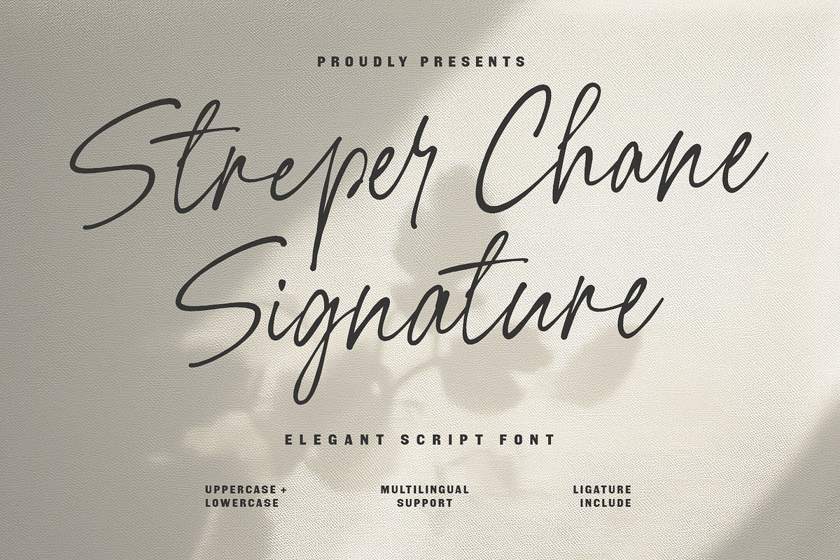 Streper Chane Signature Script Font, a Script Font by Maulana Creative (Photo 1 of 7)