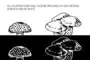 Mushrooms - vector illustration set, a Food Illustration by Renée from Studio neetje (Thumbnail 3 of 6)
