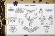 MAGIC collection - Vector ClipArt, an Animal Illustration by Evgenia Pichkur (Thumbnail 3 of 12)