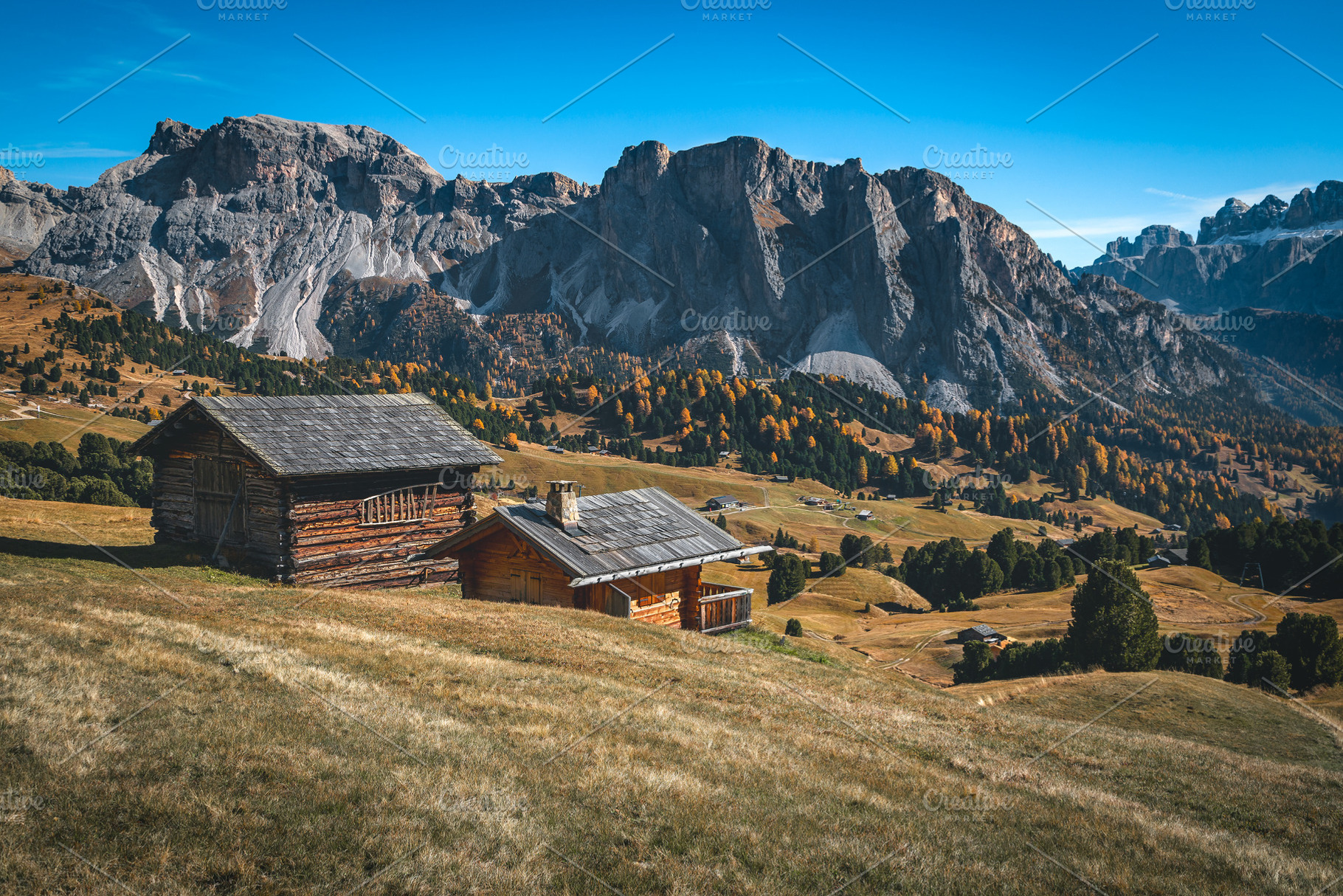 Log houses on the slope in the Alps, a Nature Photo by Alpine Dreams