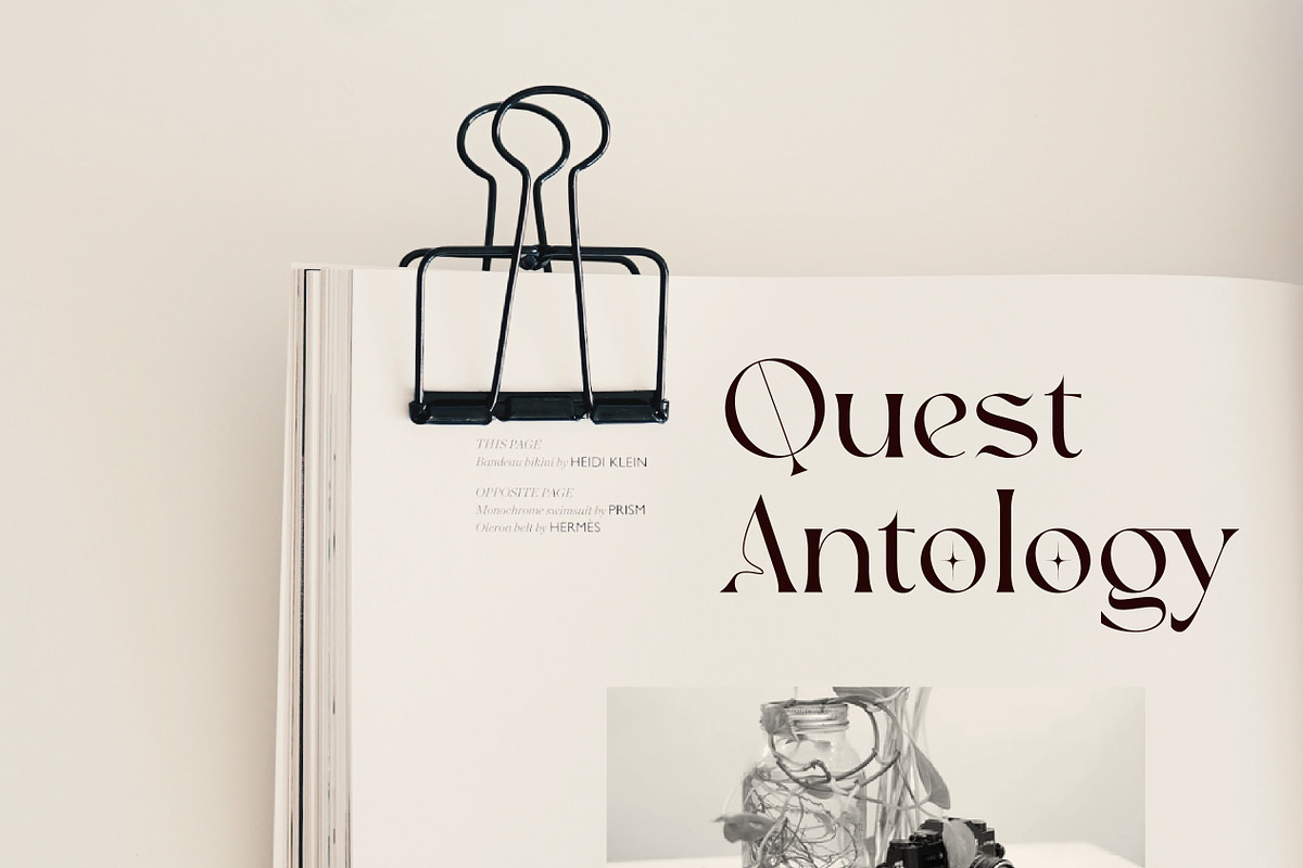 Vastyque - Modern Ligatures Serif, a Serif Font by Vesvocrea (Photo 2 of 12)