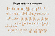 Nostalgia Typeface, a Serif Font by MaxArt Foundry (Thumbnail 17 of 20)