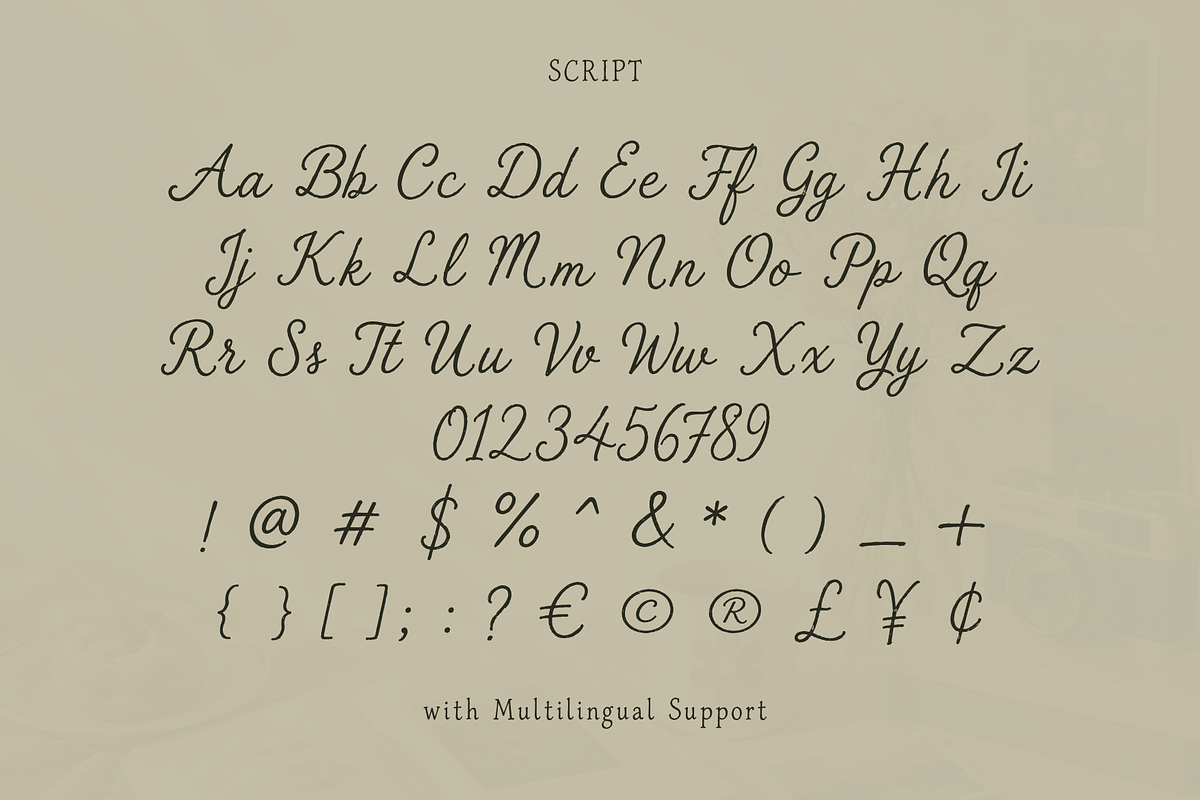 The Sunny Field Font Duo, a Script Font by Creacy Studio (Photo 9 of 10)
