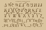 Harmony Dream - Decorative Serif, a Serif Font by Say Studio (Thumbnail 9 of 11)
