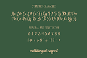 Christmas | Display Font Duo, a Handwritten Font by Moove Studio (Thumbnail 7 of 8)