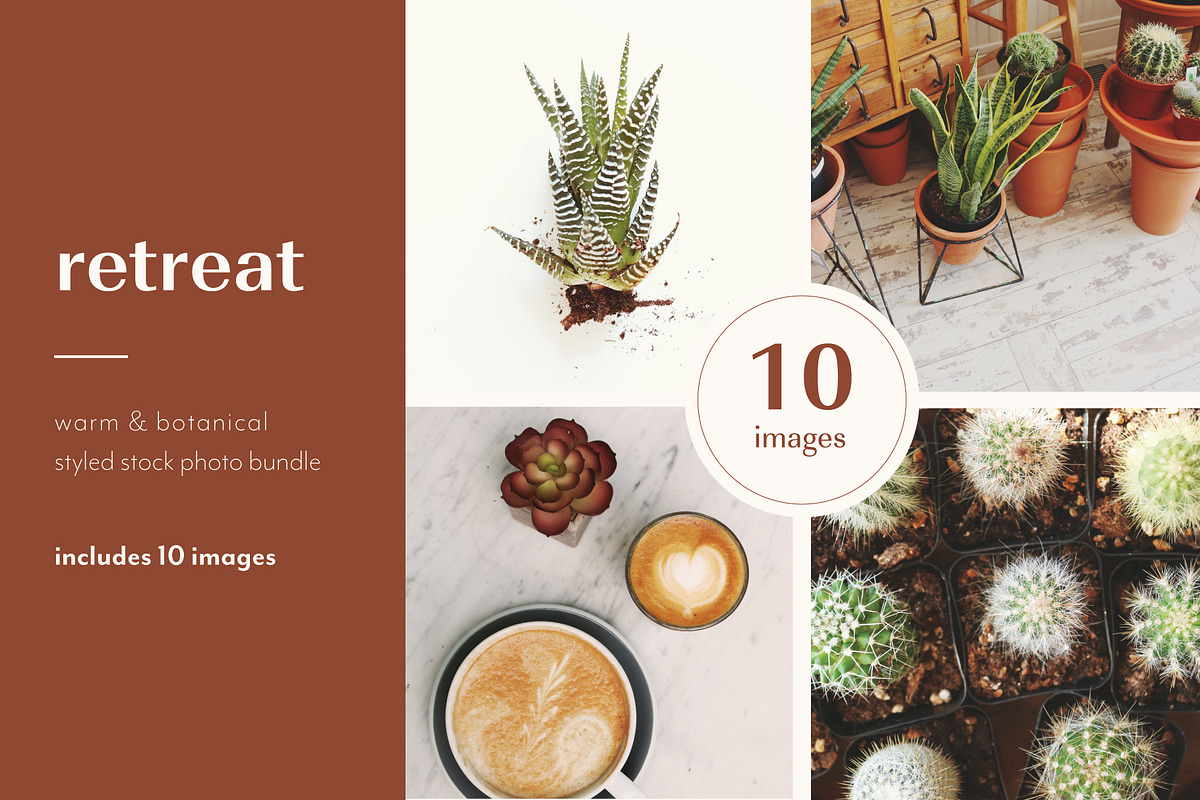 Retreat | Botanical Stock Photo Bund, a Nature Photo by MDSN Design (Photo 1 of 16)