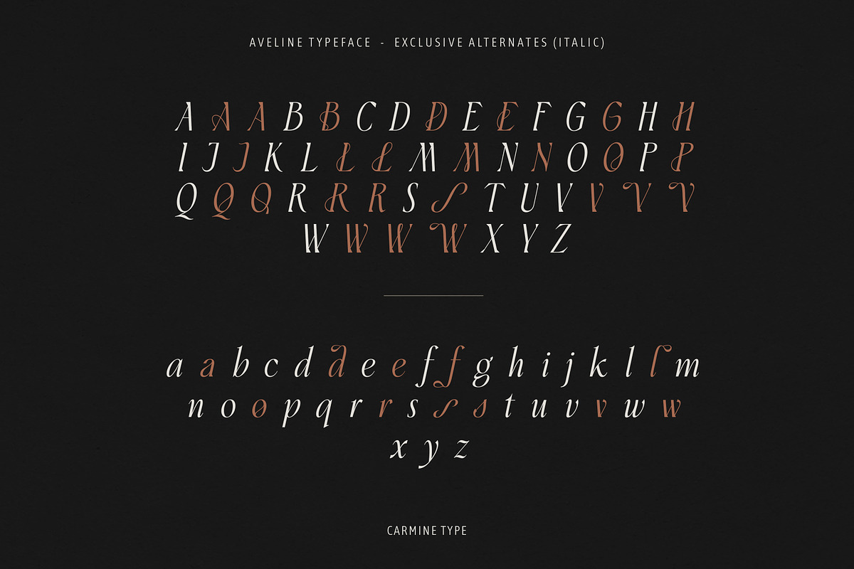 Aveline, Soft Serif with Ligatures, a Serif Font by CarmineType (Photo 23 of 28)