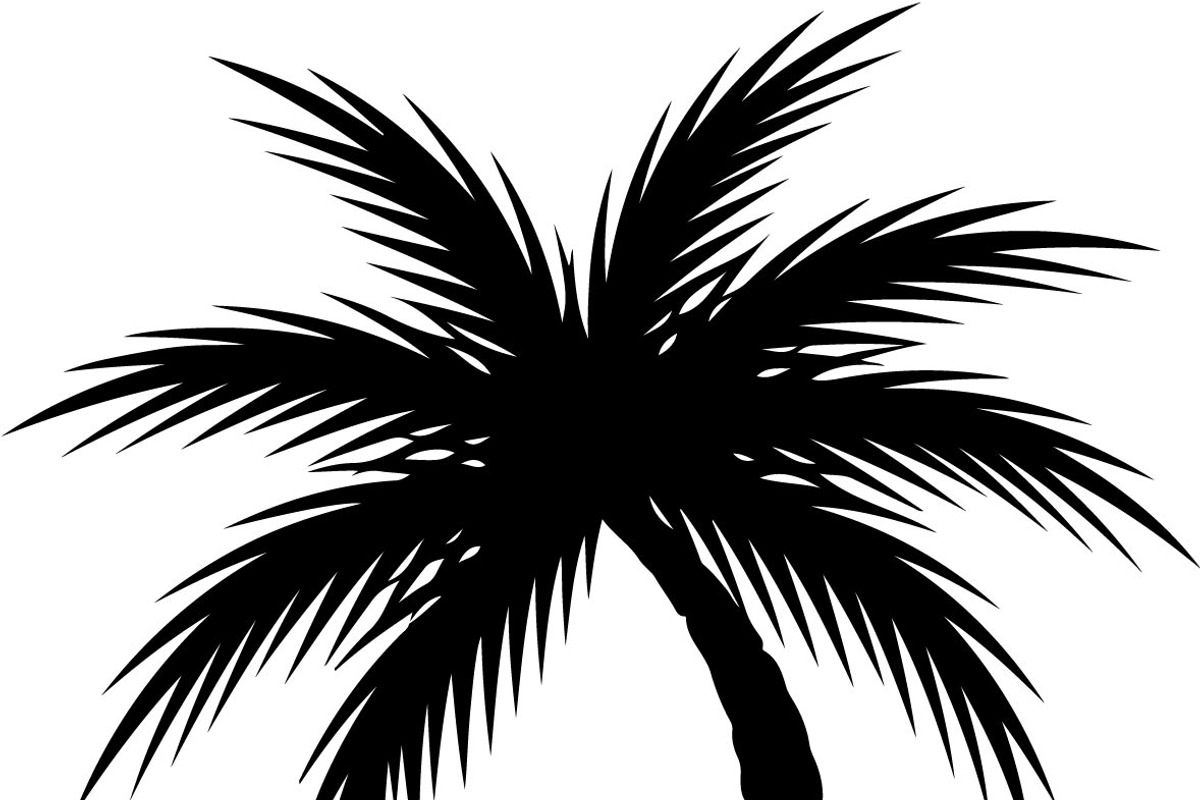 Palm Tree SVG Bundle, an Illustration by Creativeshirt (Photo 3 of 7)