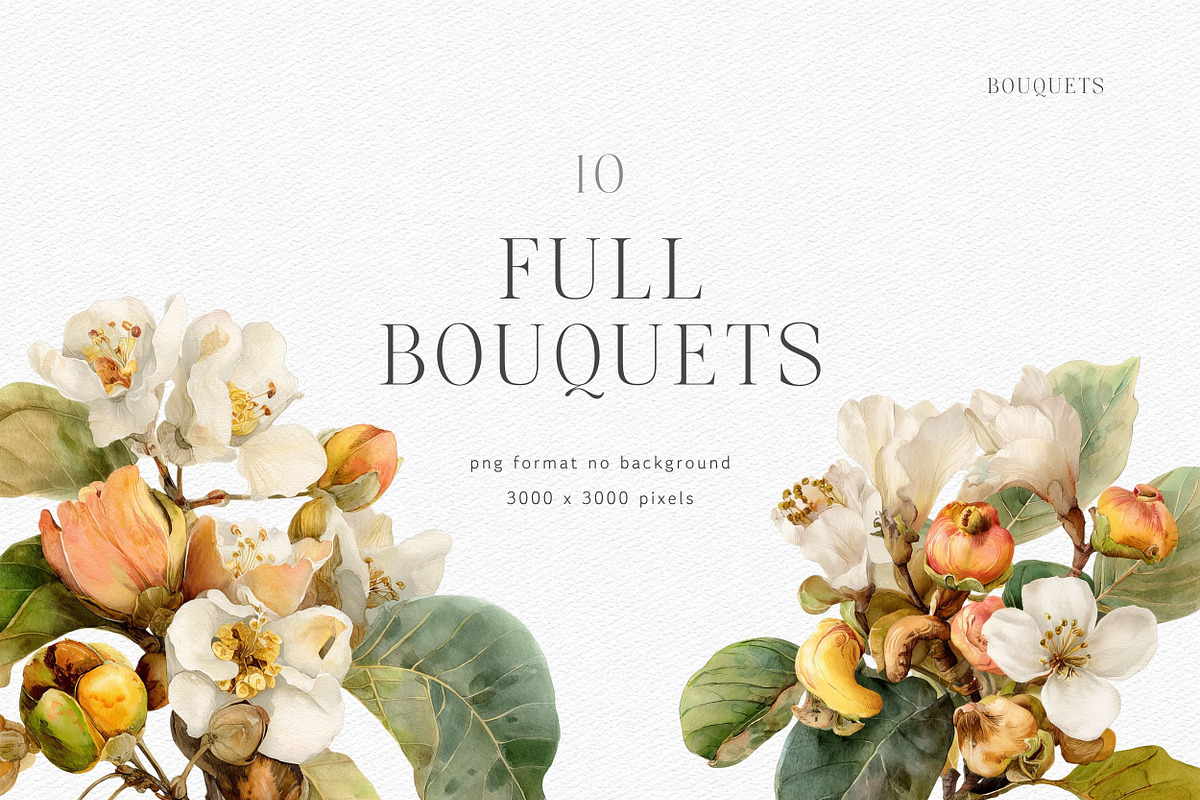 Watercolor Botanical Clipart, a Decorative Illustration by ThaismotaCreativeCo (Photo 5 of 11)