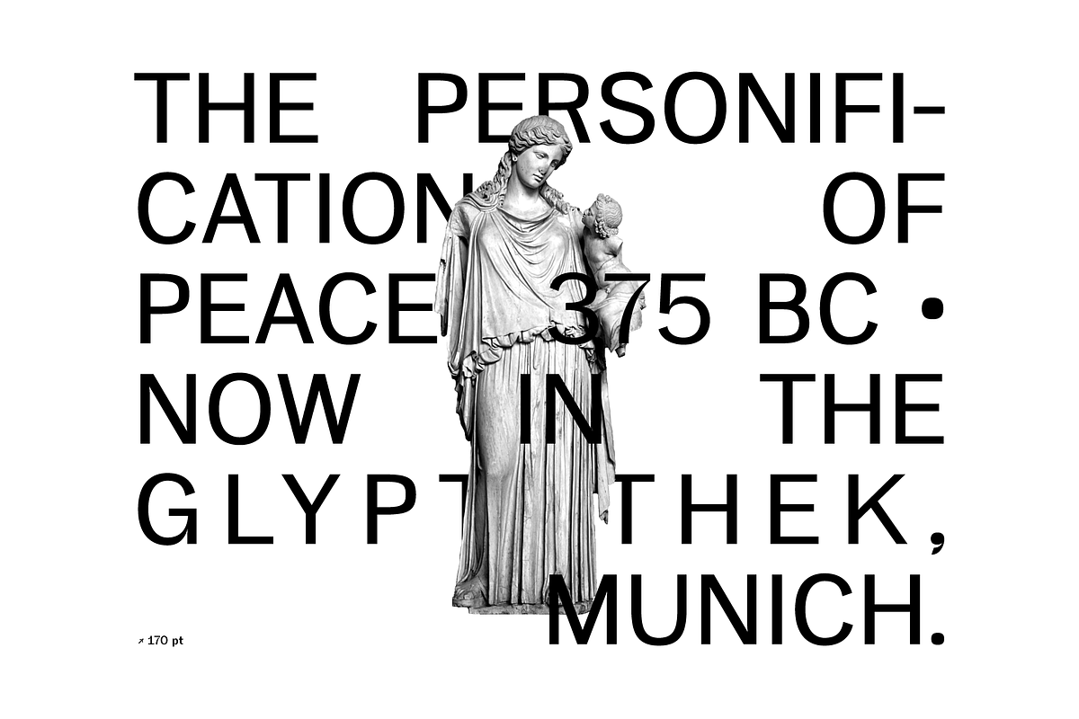 Eirene Sans - Type family, a Sans Serif Font by Tomas Castiglioni (Photo 13 of 20)