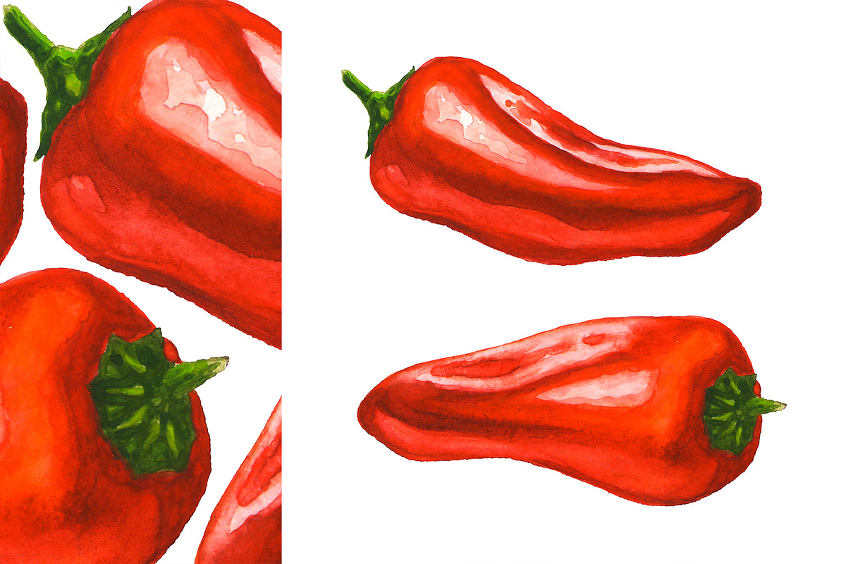 Hand-drawn Watercolor Mini Peppers, a Decorative Illustration by Margo Miller (Photo 12 of 17)