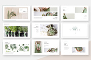 Ginkgo PowerPoint Presentation, a Presentation Template by Studio Sumac (Thumbnail 4 of 6)