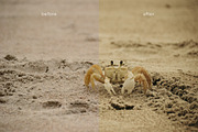 LR presets Selva, a Preset Add-On by Emi Martinez Diana (Thumbnail 5 of 7)