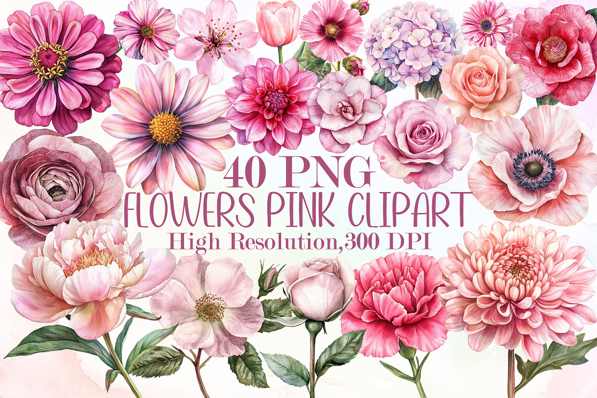 Watercolor Flowers Pink Clipart Set, an Illustration by Sublimation Artist (Photo 1 of 6)