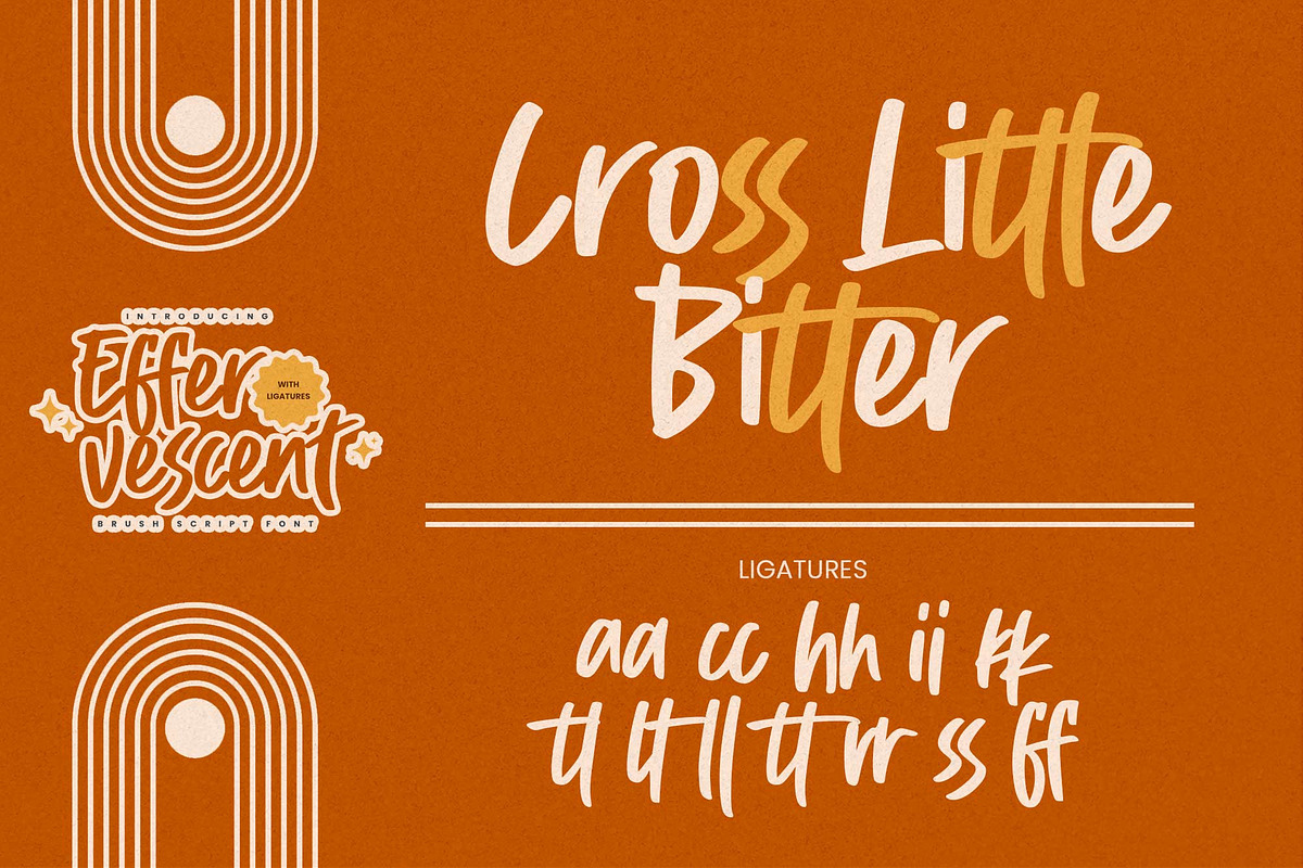 Effervescent – Quick Brush Font, a Handwritten Font by Gassstype (Photo 7 of 8)
