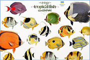 Vintage tropical fish illustrations, an Animal Illustration by Natalka Dmitrova art (Thumbnail 12 of 12)