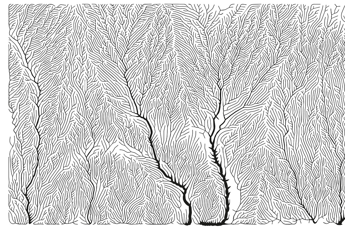 Growth - 50 Backgrounds, a Texture Graphic by GarryKillian (Photo 47 of 51)