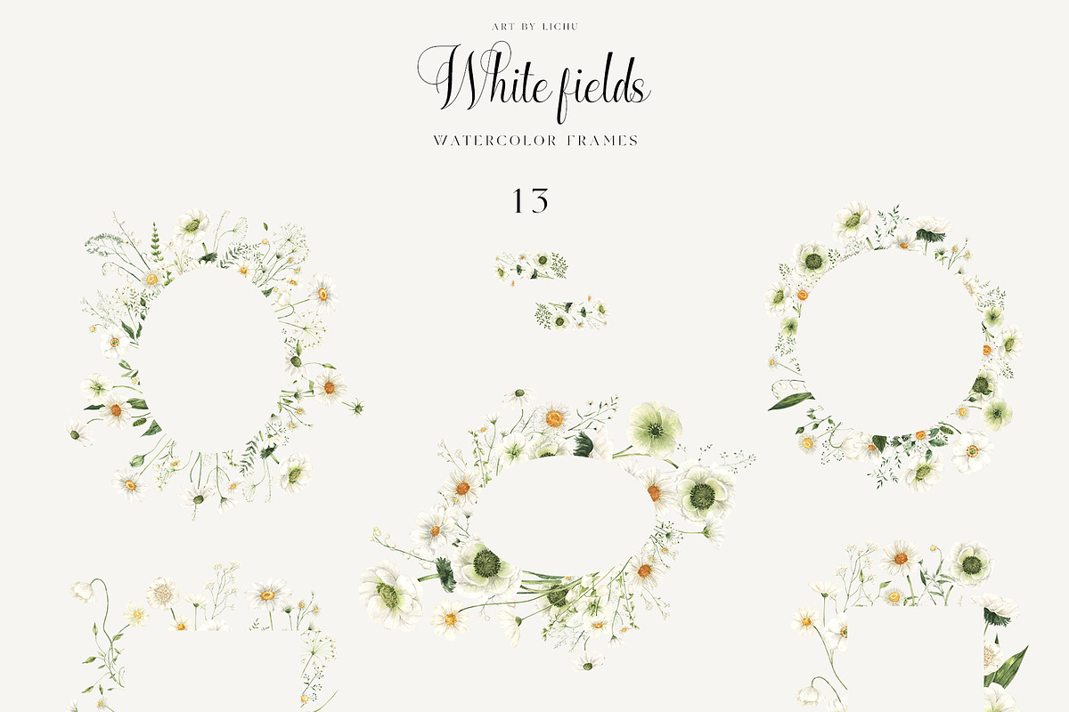 White Fields wildflowers flora, an Education Illustration by LiChu Art (Photo 5 of 12)