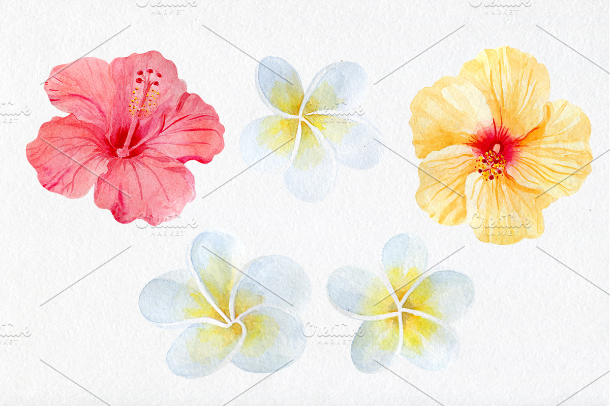 Watercolor tropical elements, an Animal Illustration by AV Design (Photo 3 of 12)