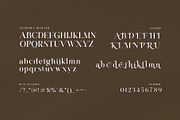 Ragike Elegant Stylish Serif Font, a Serif Font by Graphicxell (Thumbnail 8 of 8)
