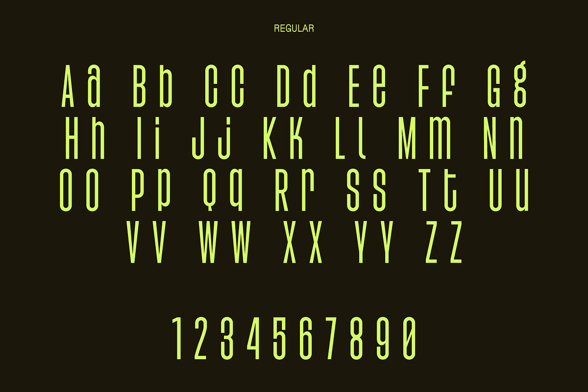 Agharti Bold Display Family, a Sans Serif Font by That That Creative (Photo 11 of 16)