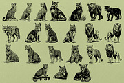 330 ZOO Animals vector illustrations, an Animal Illustration by Nocturnal Wolf (Thumbnail 6 of 18)