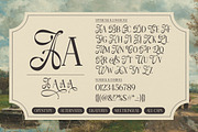 Amelissa Partis, a Serif Font by Madjack.font (Thumbnail 11 of 11)