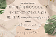 Janoela Seolen, a Script Font by Integritype Studio (Thumbnail 10 of 12)